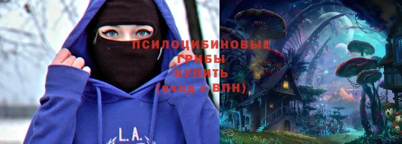 Галлюциногенные грибы Magic Shrooms  shop Telegram  Белореченск 